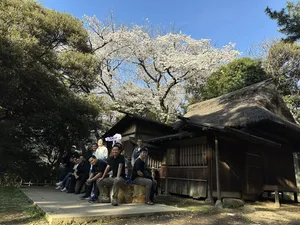 Team under cherry blossoms