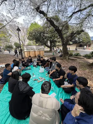 Team hanami picnic