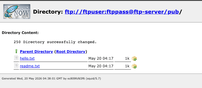 Squid-generated directory listing