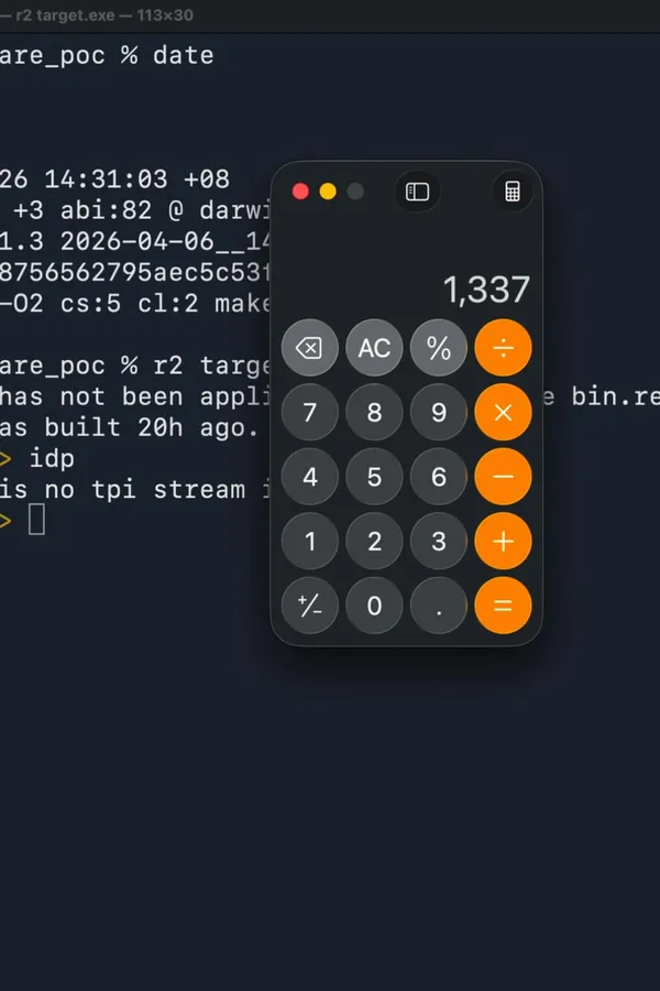 Discovering a 0-Day in Zero Day